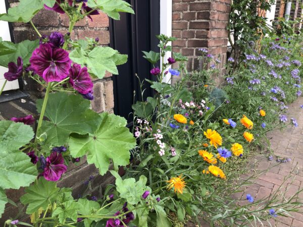 NK tegelwippen: Geldrop-Mierlo eindigt op 31se plek