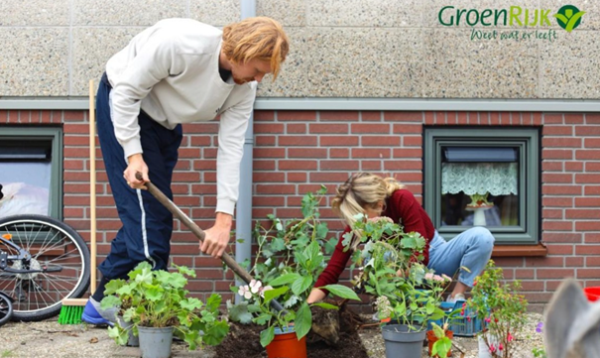 NK tegelwippen: Inwoners mogen tegels gratis inleveren bij Groenrijk Geldrop